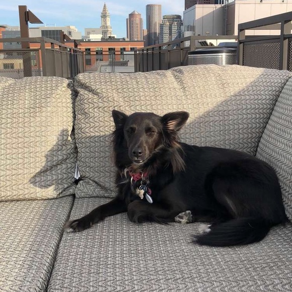 Profile Picture of Brian Carlson (@carlso56) on Poshmark