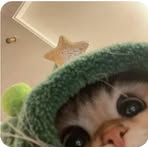 Profile Picture of Harold Nub (@harold.nub.2025) on Facebook