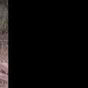 Profile Picture of Feuer Löwe (@feuerlowe1212) on Youtube