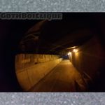 Profile Picture of Hannah Linner (@_oxhannahxox_) on Instagram