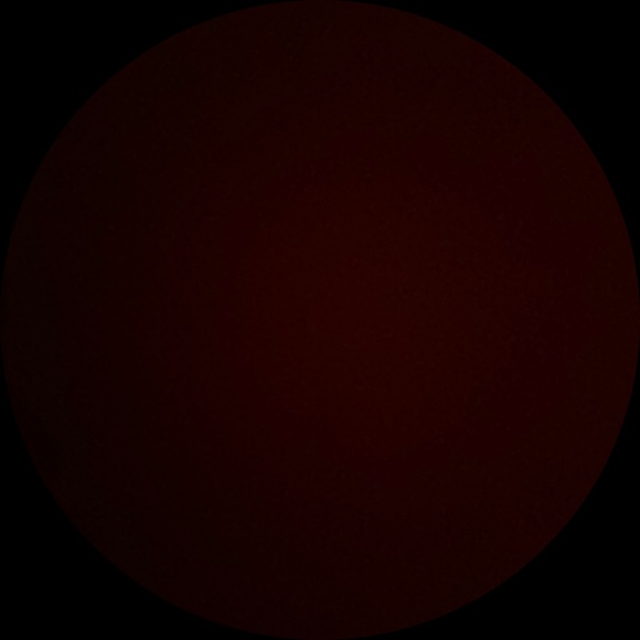 Noah Robbins - Poshmark Profile Picture of Noah Robbins (@noah_robbins13) on Poshmark