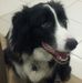 Profile Picture of Andrew Sproule (@andrew.sproule.790) on Facebook