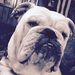 Profile Picture of Erin Hackney (@erinhackney9) on Pinterest