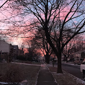 Profile Picture of Lily Beck (@lilybeck1747) on Youtube