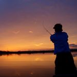 Profile Picture of Jason Stafford (@floridaculturecharters) on Instagram