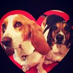 Profile Picture of Lisa Montoya (@lisamontoya9867) on Instagram