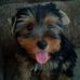 Profile Picture of Bryan Paulino (@bryan.paulino.315) on Facebook