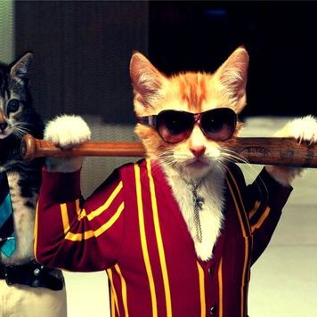 Profile Picture of Brian Montez (@BrianMontez) on Twitter