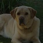 Profile Picture of Hope Lilly Stansfield (@rainbow_unicorn089) on Instagram