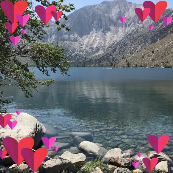 Profile Picture of Alise Adams (@aliseadams) on Poshmark