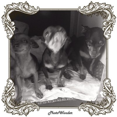 Profile Picture of Gabriel Silvera (@Gabriel10554836) on Twitter