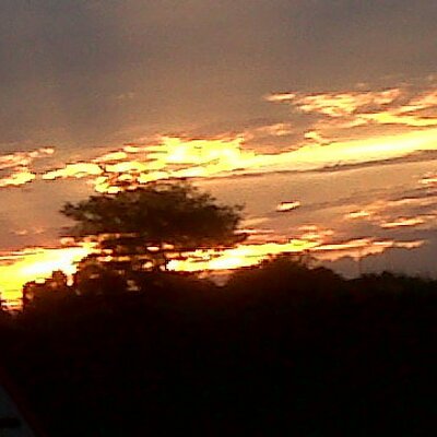 Profile Picture of Leon Nel (@leon18wheeler) on Twitter