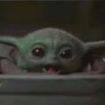 Alex Sivret - Instagram Profile Picture of Alex Sivret (@zawarudo_taze) on Instagram