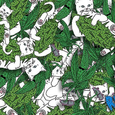 Profile Picture of Tu Chio Bby (@JoseTom64785099) on Twitter