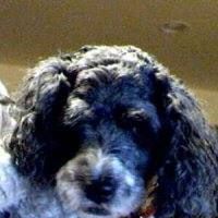 Profile Picture of Paula Chubb (@paula.chubb.9) on Facebook