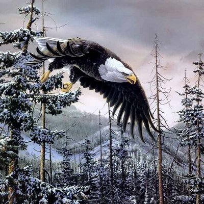 Profile Picture of Jonathan (@ellinger51) on Twitter