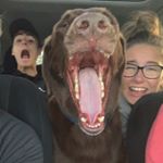 Profile Picture of Kate Watts (@_kate_watts_) on Instagram
