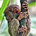 Profile Picture of petermaule (@petermaule) on Instagram