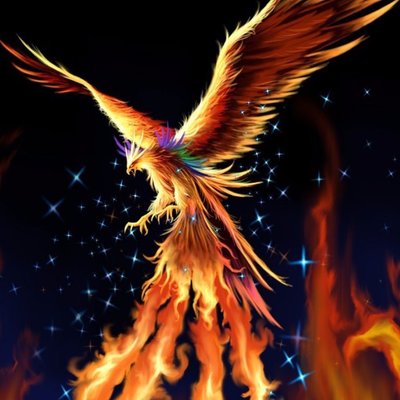 Michaela J. Kasper - Twitter Profile Picture of Michaela J. Kasper (@MJphoenix224) on Twitter