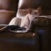 Profile Picture of John Allinder (@john.allinder.925) on Facebook