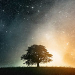 Profile Picture of Drewdaspot (@drewdaspot) on Flickr