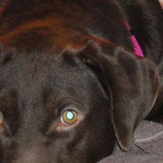 Profile Picture of David Tubergen (@dtubergen) on Facebook