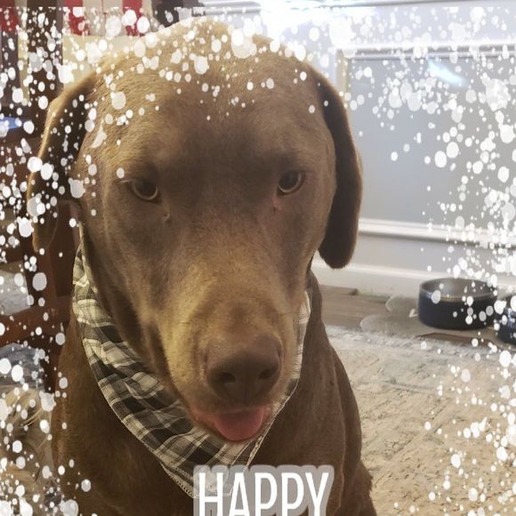 Profile Picture of Soae Hense (@soae_kim) on Poshmark