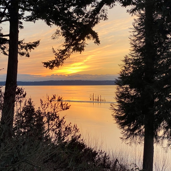 Profile Picture of Kelly Heeringa (@kellyheeringa) on Poshmark