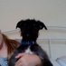 Profile Picture of Keely-Beth James (@@KeelyJames10) on Twitter