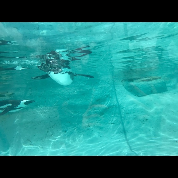 Profile Picture of Patience Logsdon (@patiencee2000) on Poshmark