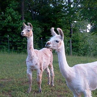 Profile Picture of Doris Galloway (@doris.galloway) on Facebook