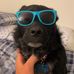 Profile Picture of Carson Dodd (@Carson-Dodd) on Facebook
