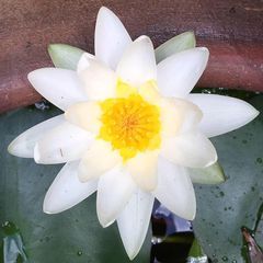 Profile Picture of Scott Dundon (@scottdundon) on Tiktok