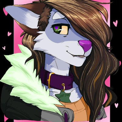 Profile Picture of Kaitlin Foster (@MollieKat2019) on Twitter