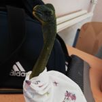 Profile Picture of richard~ps~saur (@richardpssaur) on Instagram