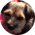 Profile Picture of Ann-Marie Engdahl Fd Ruste (@voffas_insta) on Instagram