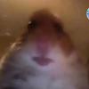 Profile Picture of james meeks (@@jamesmeeks16) on Tiktok