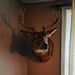 Profile Picture of Keith Kester (@keithk2427) on Pinterest