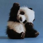 Profile Picture of Agata Woźniak (@agataagul) on Instagram