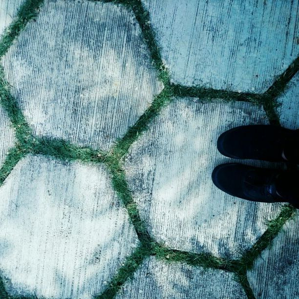 Profile Picture of TracyLeigh (@trcy_leigh) on Tiktok