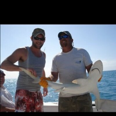 Profile Picture of Dave Rogers (@DaveyRog) on Twitter
