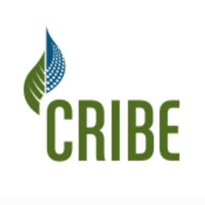 Profile Picture of CRIBE (@CRIBE_Biomass) on Twitter