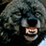 Profile Picture of Douglas Lopes (@Douglas M Lopes) on Flickr