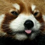 Profile Picture of Karl Jolly (@reignbeau28) on Instagram