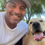 Profile Picture of Joe Rogan 🌍FAN PAGE🥊 (@joerogan2019) on Instagram