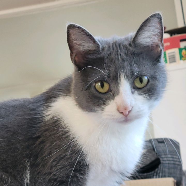Profile Picture of nathanschwalm (@nate.roberts3) on Tiktok