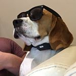 Profile Picture of david.petley (@david.petley) on Instagram