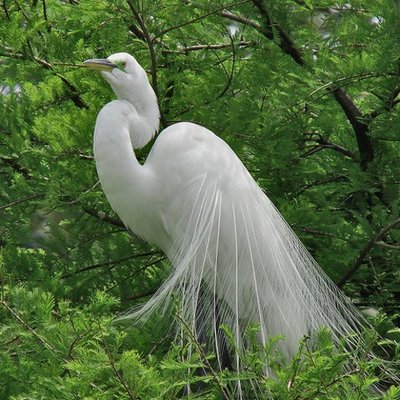 Profile Picture of Afzal Shaikh (@afzalshaikh00) on Twitter