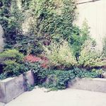 Profile Picture of Jasmine Osborne (@jasmine.osborne.756) on Instagram