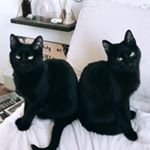 ✞☯✞k.a.i.t.e.s✞☯✞ - Instagram Profile Picture of ✞☯✞k.a.i.t.e.s✞☯✞ (@kaiitlyn_mariiex) on Instagram